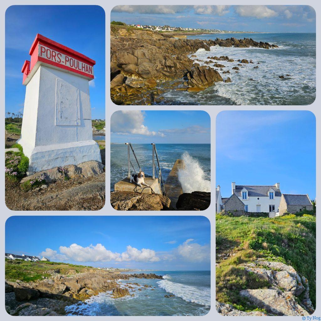 Collage Feu de Pors Poulhan