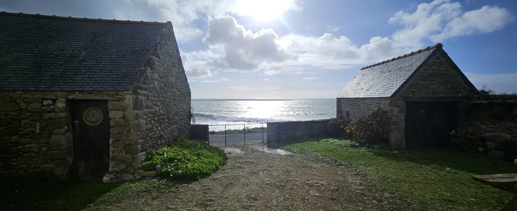 Blick aus dem Garten 1