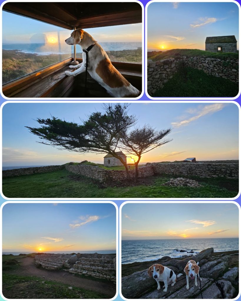 Ménez Drégan Collage 1