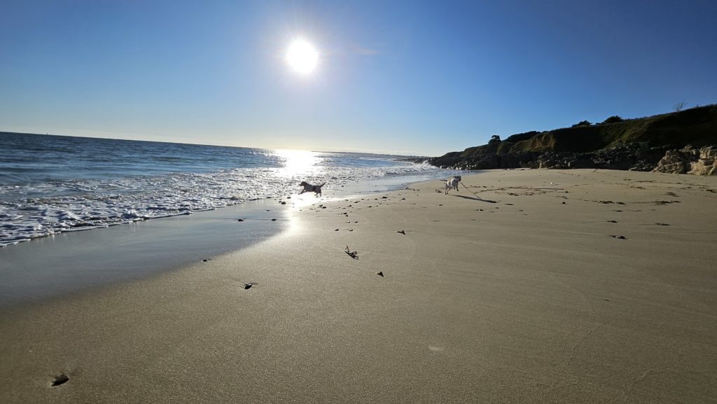 Plage de Gwendrez 4